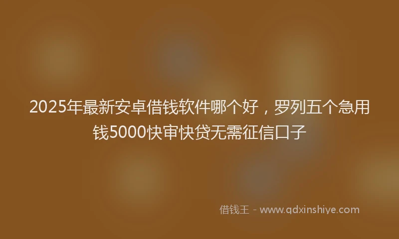 2025年最新安卓借钱软件哪个好，罗列五个急用钱5000快审快贷无需征信口子