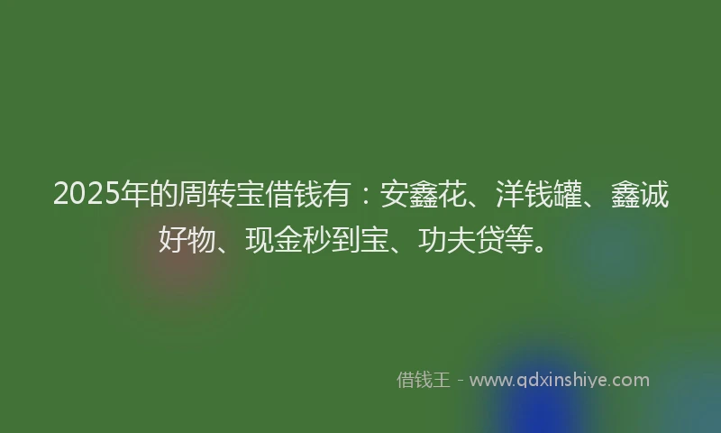 2025年的周转宝借钱有：安鑫花、洋钱罐、鑫诚好物、现金秒到宝、功夫贷等。