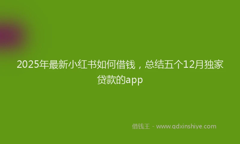 2025年最新小红书如何借钱，总结五个12月独家贷款的app