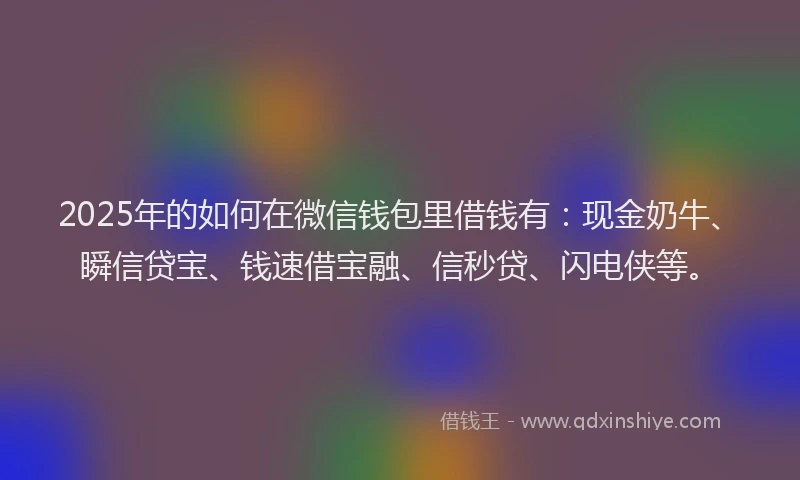 2025年的如何在微信钱包里借钱有：现金奶牛、瞬信贷宝、钱速借宝融、信秒贷、闪电侠等。