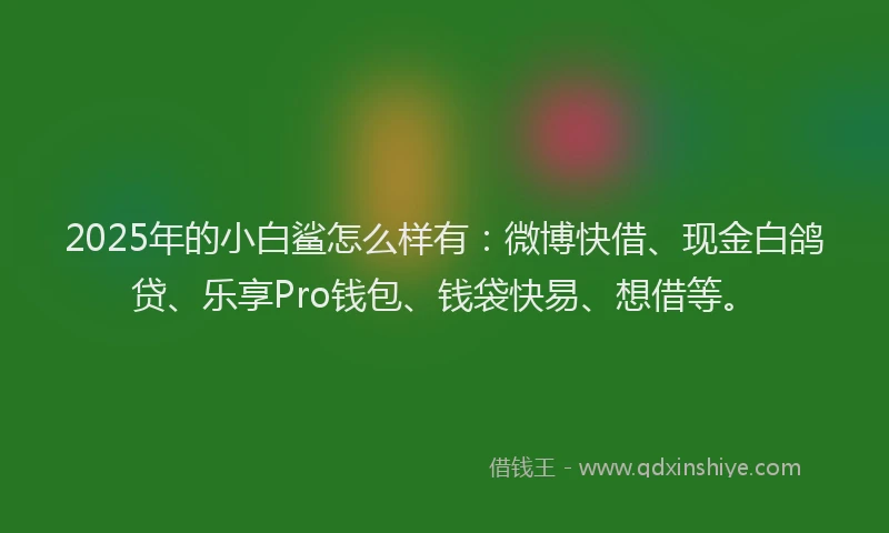 2025年的小白鲨怎么样有：微博快借、现金白鸽贷、乐享Pro钱包、钱袋快易、想借等。