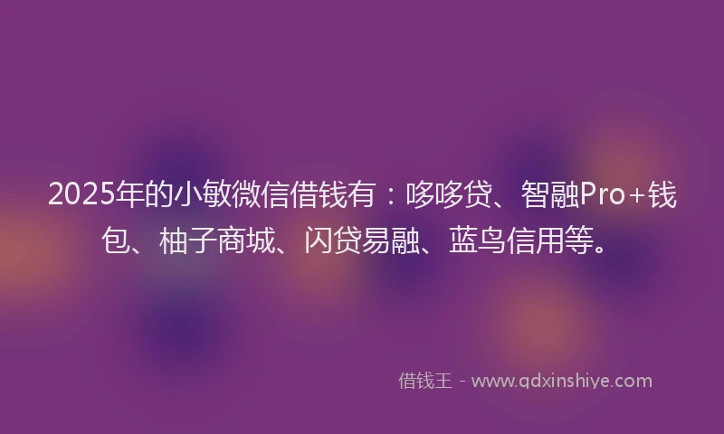 2025年的小敏微信借钱有：哆哆贷、智融Pro+钱包、柚子商城、闪贷易融、蓝鸟信用等。