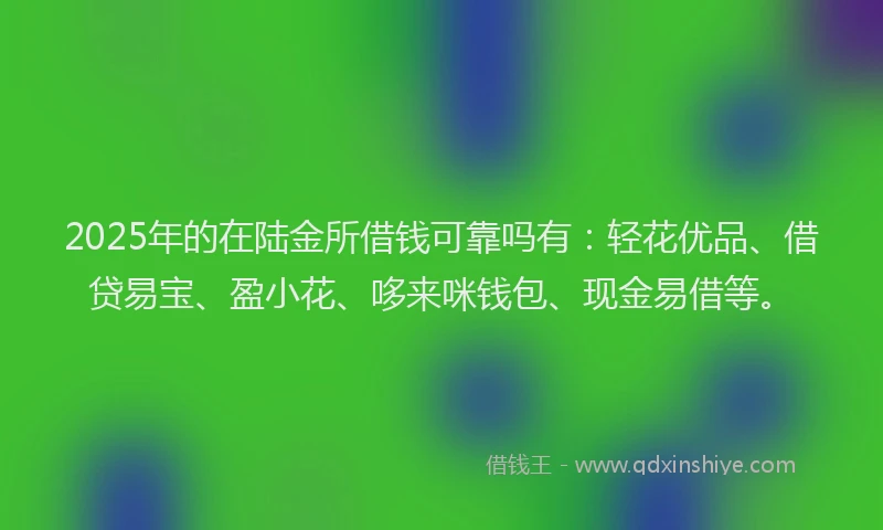 2025年的在陆金所借钱可靠吗有：轻花优品、借贷易宝、盈小花、哆来咪钱包、现金易借等。