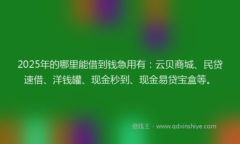 2025年的哪里能借到钱急用有：云贝商城、民贷速借、洋钱罐、现金秒到、现金易贷宝盒等。