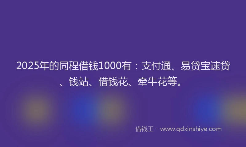 2025年的同程借钱1000有：支付通、易贷宝速贷、钱站、借钱花、牵牛花等。