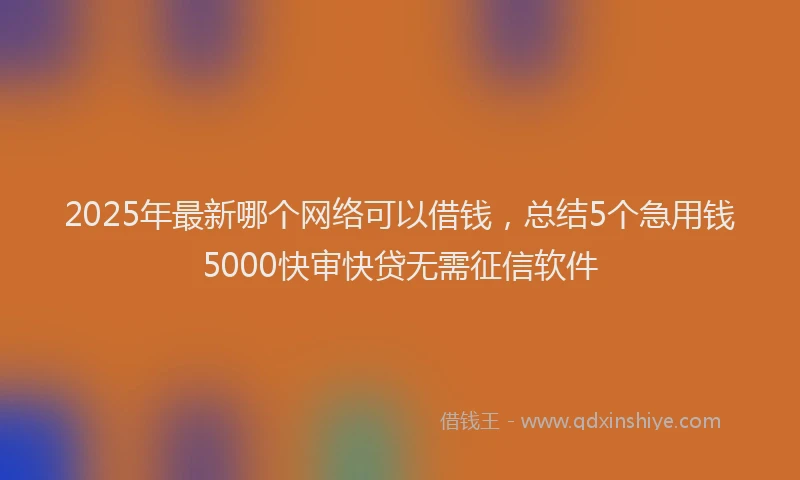2025年最新哪个网络可以借钱，总结5个急用钱5000快审快贷无需征信软件
