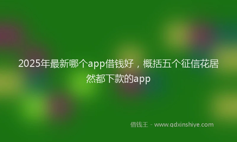 2025年最新哪个app借钱好，概括五个征信花居然都下款的app