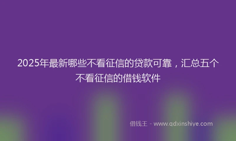 2025年最新哪些不看征信的贷款可靠，汇总五个不看征信的借钱软件
