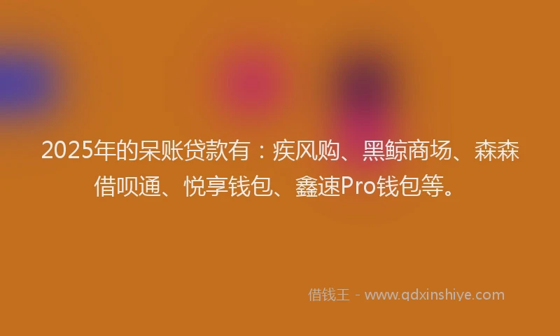 2025年的呆账贷款有：疾风购、黑鲸商场、森森借呗通、悦享钱包、鑫速Pro钱包等。