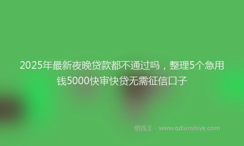 2025年最新夜晚贷款都不通过吗，整理5个急用钱5000快审快贷无需征信口子