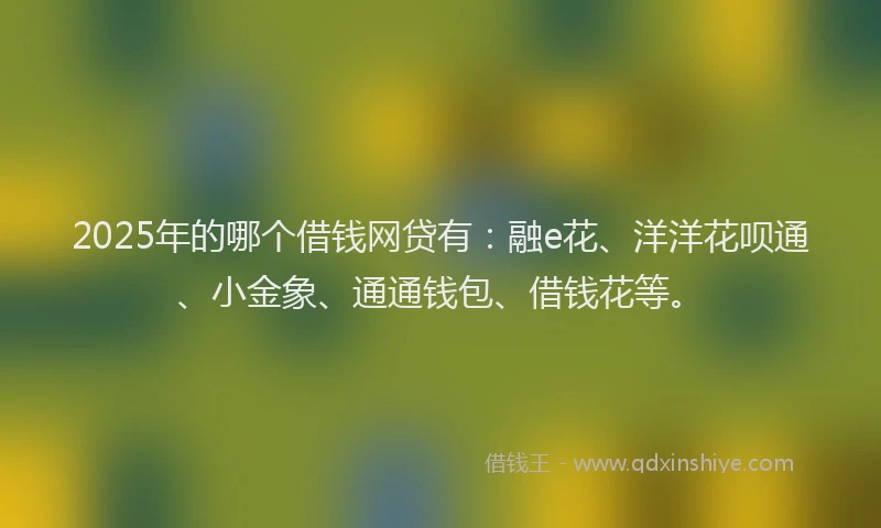 2025年的哪个借钱网贷有：融e花、洋洋花呗通、小金象、通通钱包、借钱花等。
