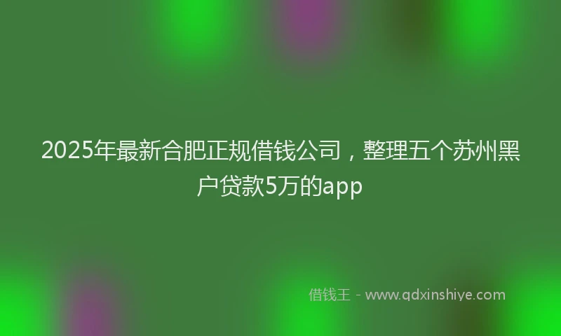 2025年最新合肥正规借钱公司，整理五个苏州黑户贷款5万的app