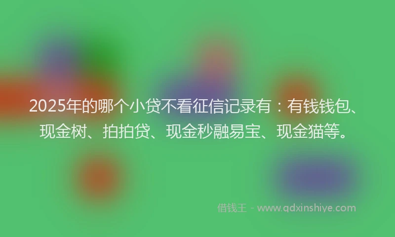 2025年的哪个小贷不看征信记录有：有钱钱包、现金树、拍拍贷、现金秒融易宝、现金猫等。