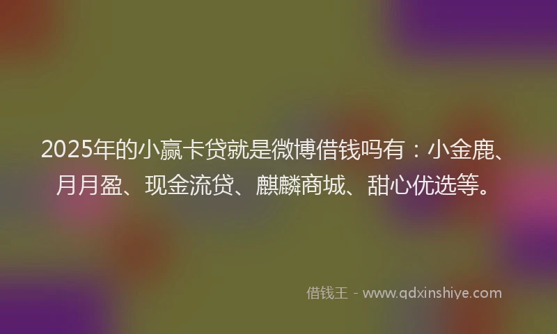 2025年的小赢卡贷就是微博借钱吗有：小金鹿、月月盈、现金流贷、麒麟商城、甜心优选等。