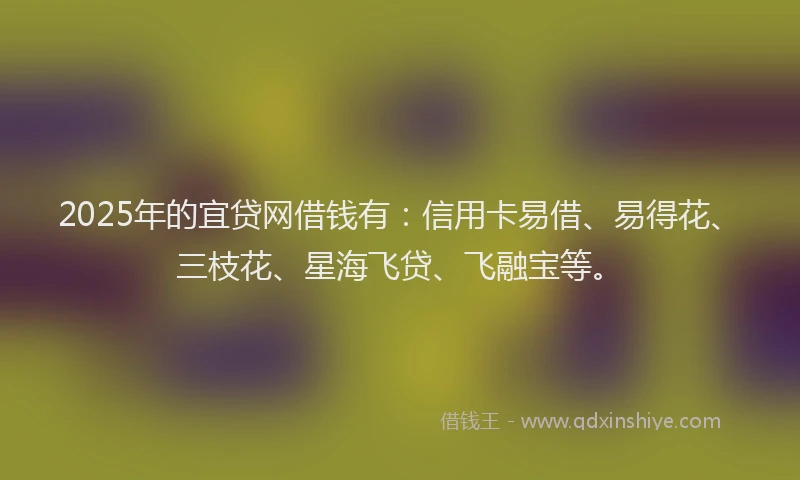 2025年的宜贷网借钱有：信用卡易借、易得花、三枝花、星海飞贷、飞融宝等。