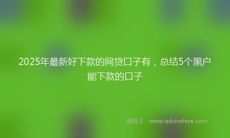 2025年最新好下款的网贷口子有，总结5个黑户能下款的口子