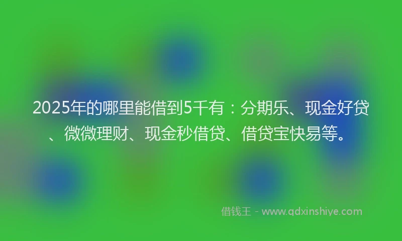 2025年的哪里能借到5千有：分期乐、现金好贷、微微理财、现金秒借贷、借贷宝快易等。