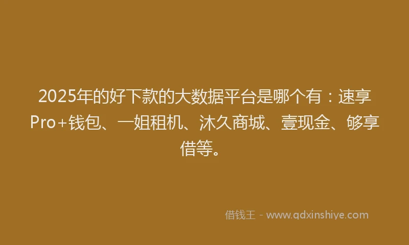 2025年的好下款的大数据平台是哪个有：速享Pro+钱包、一姐租机、沐久商城、壹现金、够享借等。