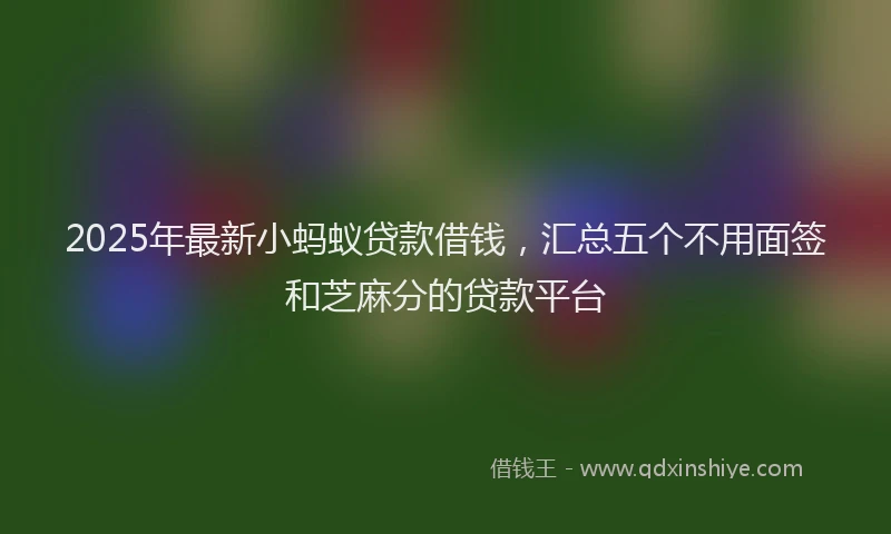 2025年最新小蚂蚁贷款借钱，汇总五个不用面签和芝麻分的贷款平台