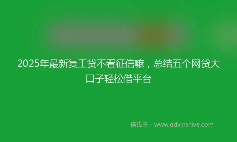 2025年最新复工贷不看征信嘛，总结五个网贷大口子轻松借平台