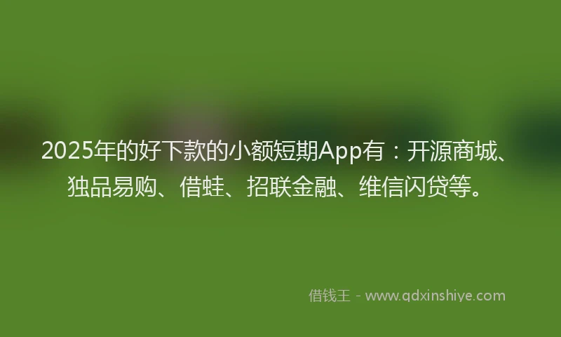 2025年的好下款的小额短期App有：开源商城、独品易购、借蛙、招联金融、维信闪贷等。