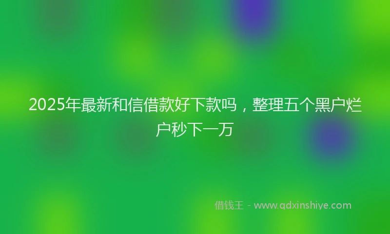 2025年最新和信借款好下款吗，整理五个黑户烂户秒下一万