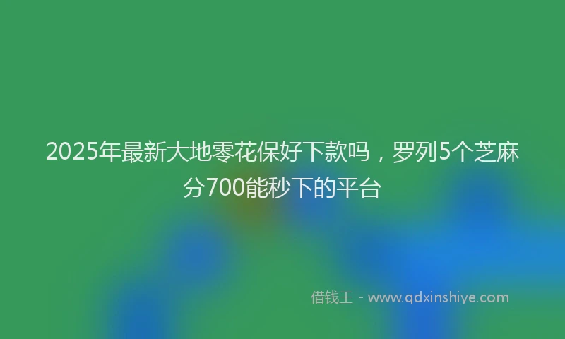 2025年最新大地零花保好下款吗，罗列5个芝麻分700能秒下的平台