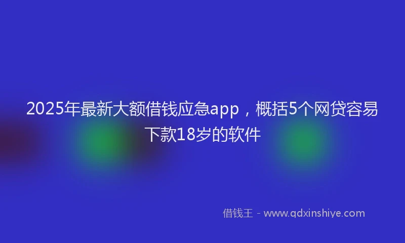2025年最新大额借钱应急app，概括5个网贷容易下款18岁的软件