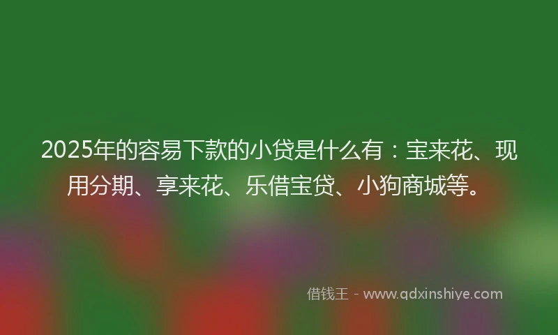 2025年的容易下款的小贷是什么有：宝来花、现用分期、享来花、乐借宝贷、小狗商城等。