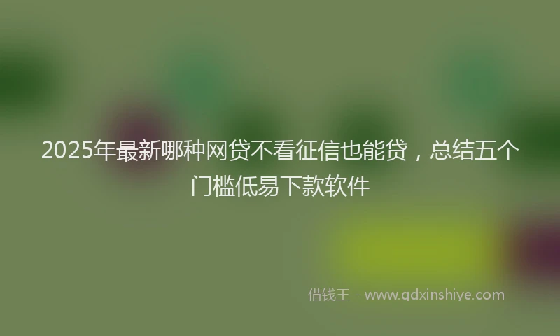 2025年最新哪种网贷不看征信也能贷，总结五个门槛低易下款软件
