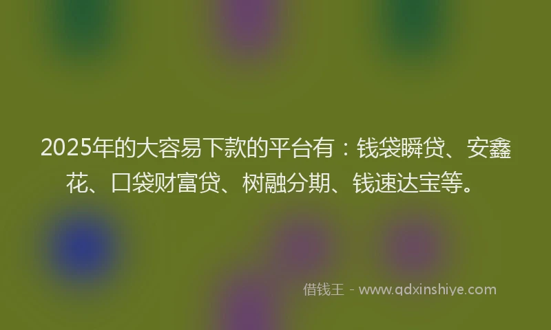 2025年的大容易下款的平台有：钱袋瞬贷、安鑫花、口袋财富贷、树融分期、钱速达宝等。