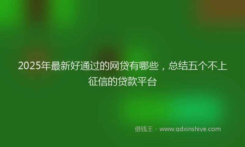 2025年最新好通过的网贷有哪些，总结五个不上征信的贷款平台
