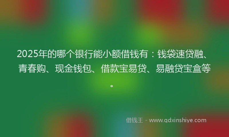 2025年的哪个银行能小额借钱有：钱袋速贷融、青春购、现金钱包、借款宝易贷、易融贷宝盒等。