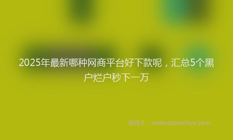 2025年最新哪种网商平台好下款呢，汇总5个黑户烂户秒下一万