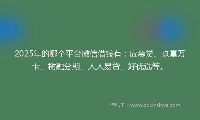 2025年的哪个平台微信借钱有：应急贷、玖富万卡、树融分期、人人易贷、好优选等。