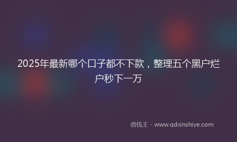2025年最新哪个口子都不下款，整理五个黑户烂户秒下一万