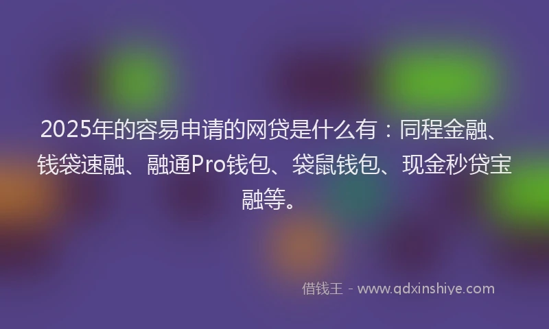 2025年的容易申请的网贷是什么有：同程金融、钱袋速融、融通Pro钱包、袋鼠钱包、现金秒贷宝融等。