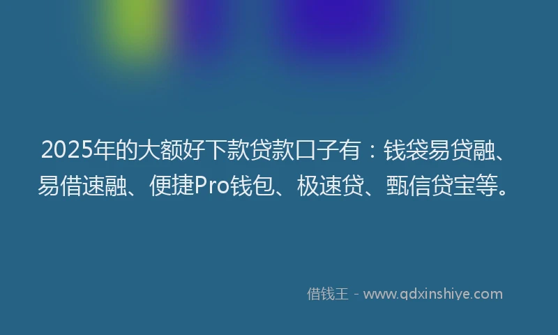 2025年的大额好下款贷款口子有：钱袋易贷融、易借速融、便捷Pro钱包、极速贷、甄信贷宝等。