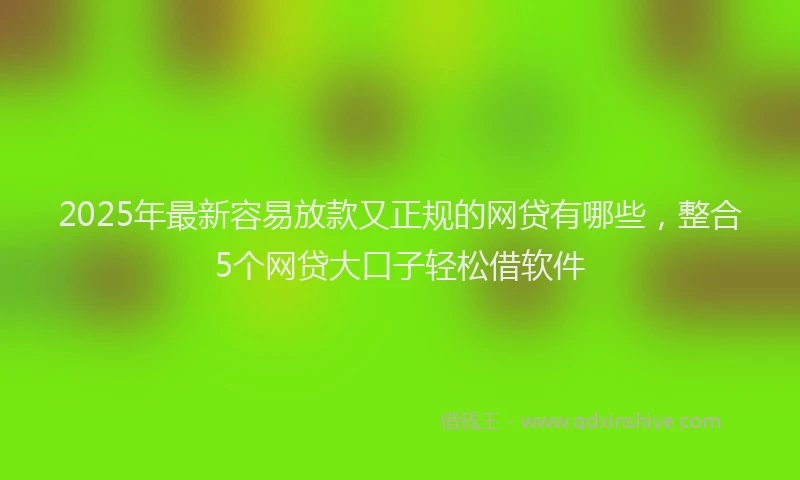 2025年最新容易放款又正规的网贷有哪些，整合5个网贷大口子轻松借软件