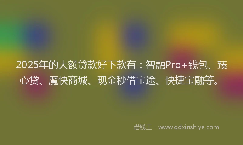 2025年的大额贷款好下款有：智融Pro+钱包、臻心贷、魔快商城、现金秒借宝途、快捷宝融等。