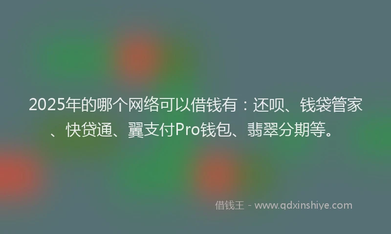 2025年的哪个网络可以借钱有：还呗、钱袋管家、快贷通、翼支付Pro钱包、翡翠分期等。
