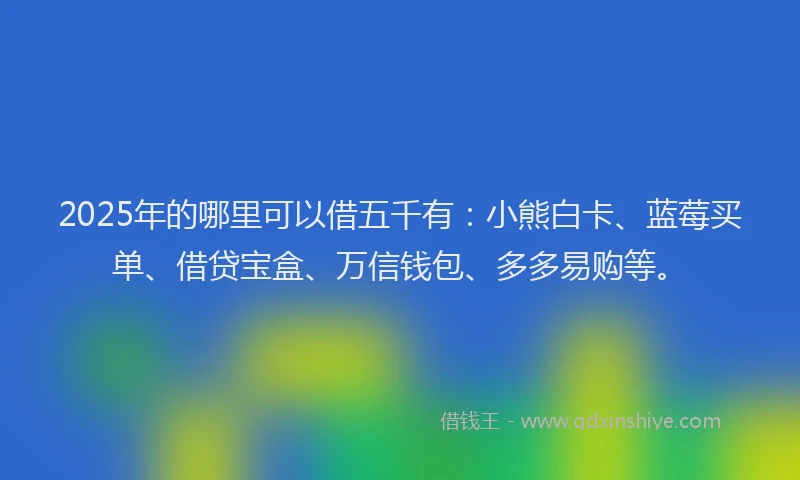2025年的哪里可以借五千有：小熊白卡、蓝莓买单、借贷宝盒、万信钱包、多多易购等。