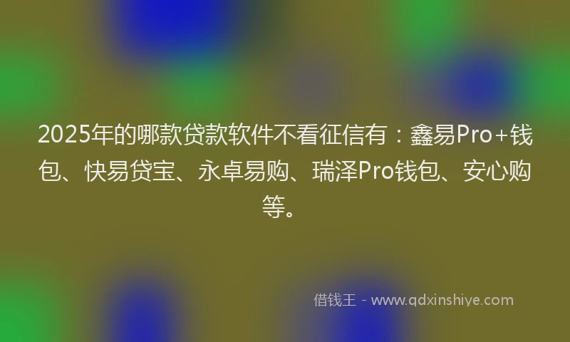 2025年的哪款贷款软件不看征信有：鑫易Pro+钱包、快易贷宝、永卓易购、瑞泽Pro钱包、安心购等。