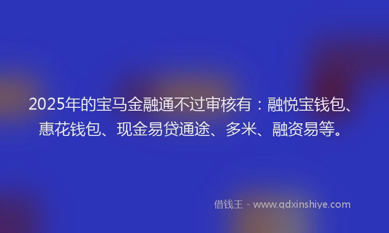 2025年的宝马金融通不过审核有：融悦宝钱包、惠花钱包、现金易贷通途、多米、融资易等。