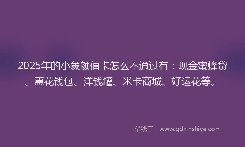 2025年的小象颜值卡怎么不通过有：现金蜜蜂贷、惠花钱包、洋钱罐、米卡商城、好运花等。