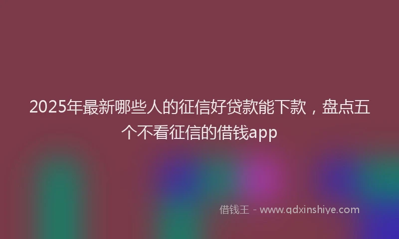 2025年最新哪些人的征信好贷款能下款，盘点五个不看征信的借钱app