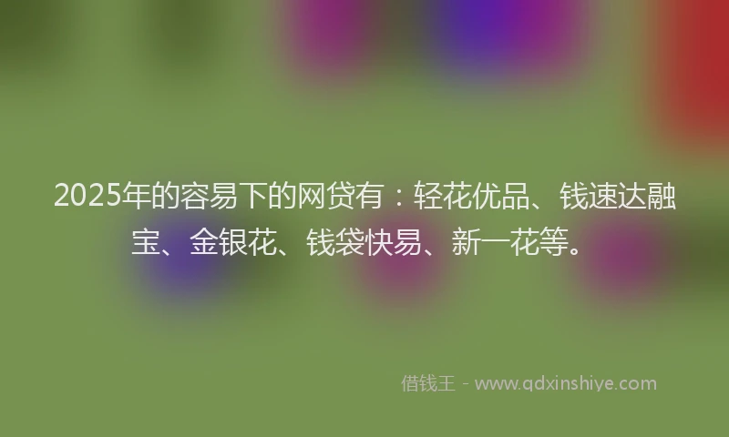 2025年的容易下的网贷有：轻花优品、钱速达融宝、金银花、钱袋快易、新一花等。