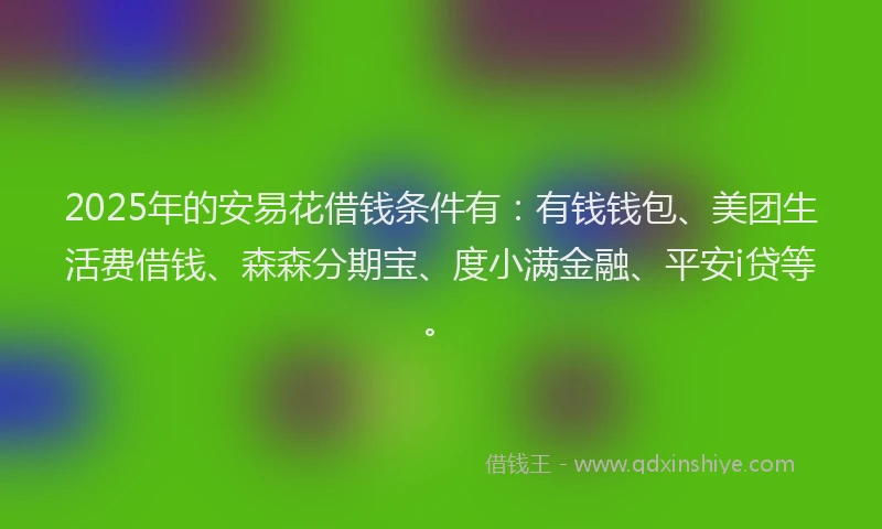 2025年的安易花借钱条件有：有钱钱包、美团生活费借钱、森森分期宝、度小满金融、平安i贷等。
