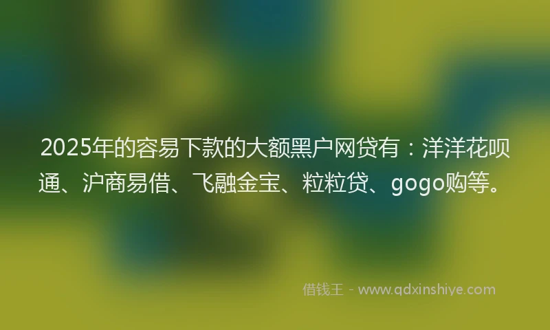 2025年的容易下款的大额黑户网贷有：洋洋花呗通、沪商易借、飞融金宝、粒粒贷、gogo购等。