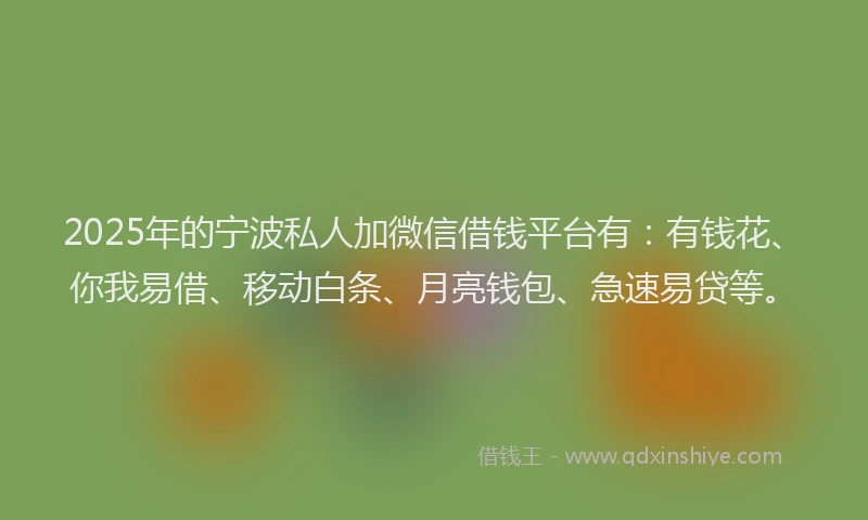 2025年的宁波私人加微信借钱平台有：有钱花、你我易借、移动白条、月亮钱包、急速易贷等。